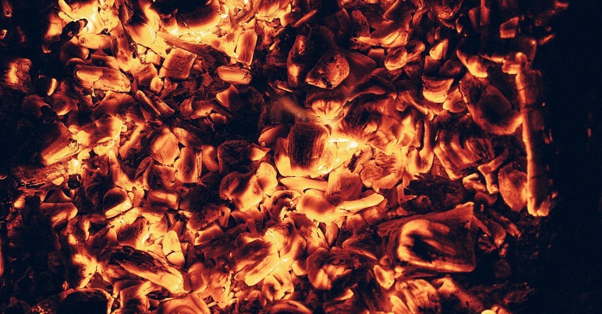 solutions de chauffage efficaces et économiques pour un confort optimal toute l'année.