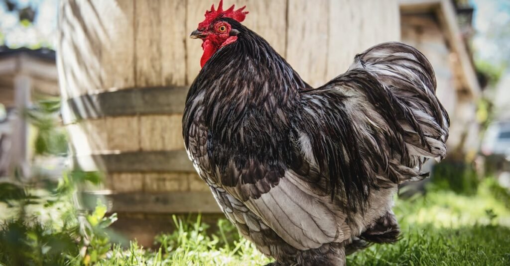 découvrez tout sur la cochenille, un insecte célèbre pour sa production de colorant naturel rouge utilisé en cosmétique et en alimentation.