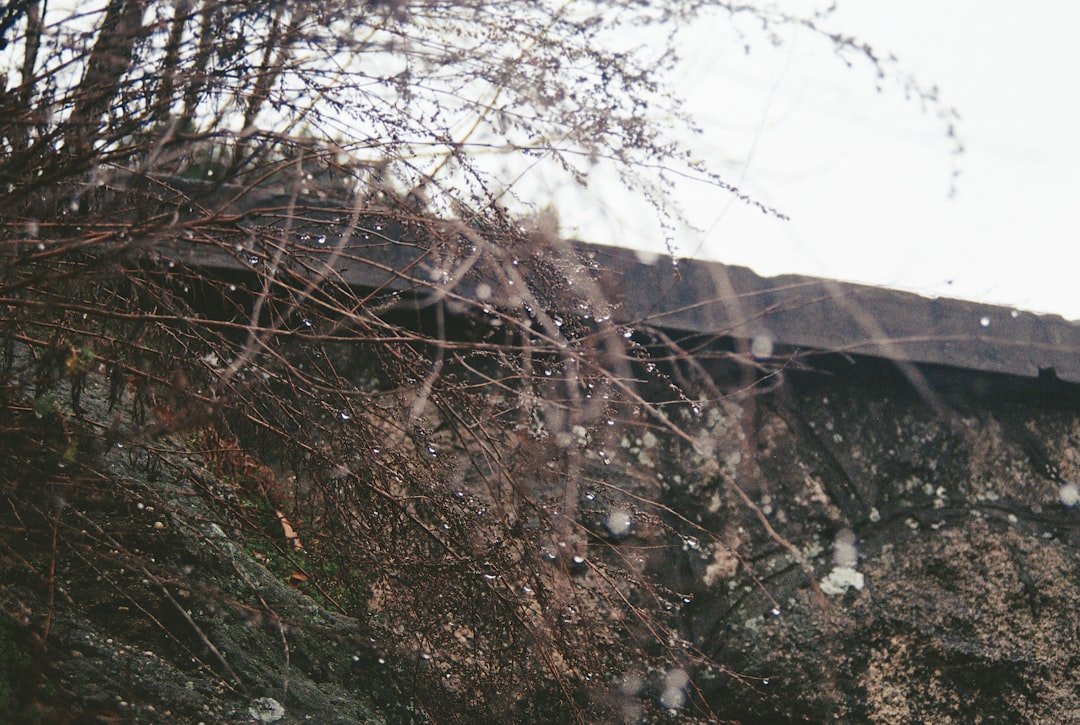 solutions efficaces pour le traitement des murs humides afin d'éliminer l'humidité, prévenir les moisissures et protéger votre habitation.