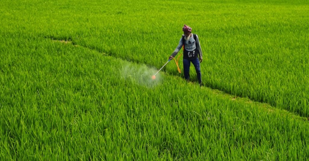 découvrez notre herbicide naturel efficace pour éliminer les mauvaises herbes sans produits chimiques, respectueux de l'environnement et sûr pour votre jardin.