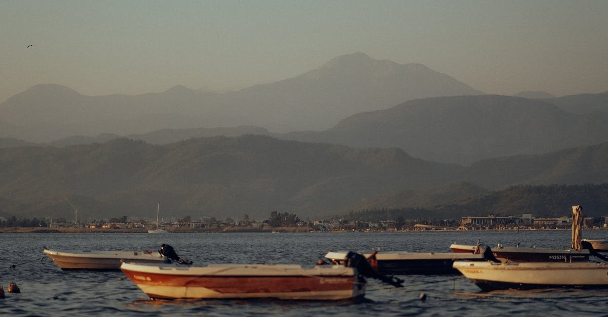 découvrez les principes de la maison passive pour un habitat écologique, économe en énergie et confortable toute l'année.