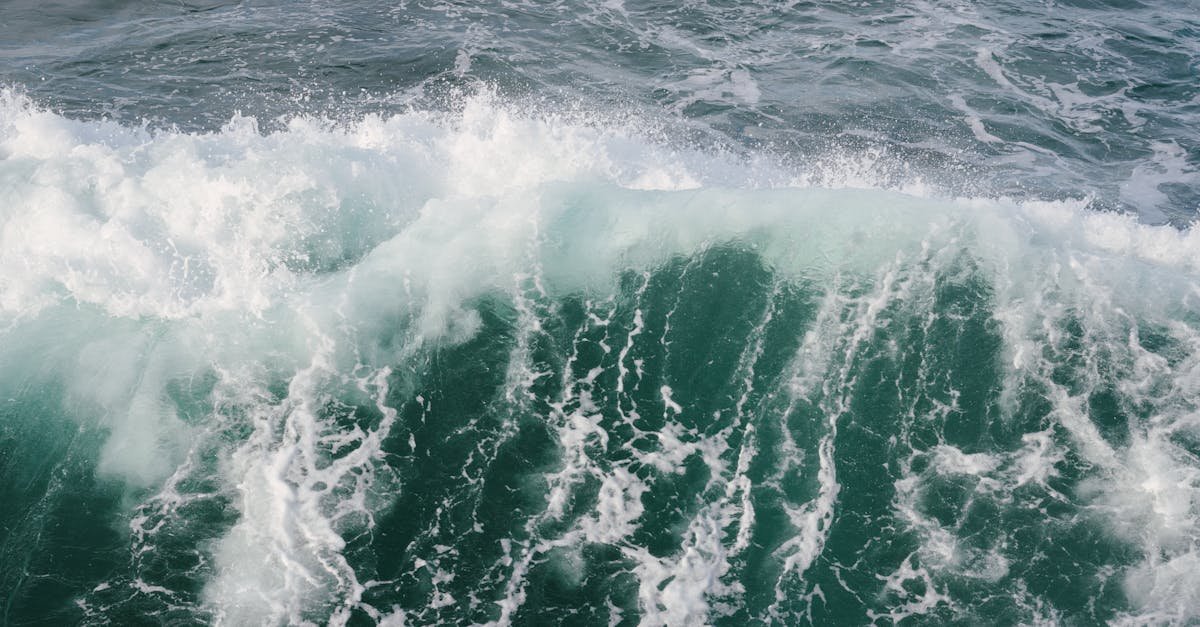 découvrez la teinte apaisante du vert mousse de mer, idéale pour apporter fraîcheur et sérénité à votre décoration et votre style.