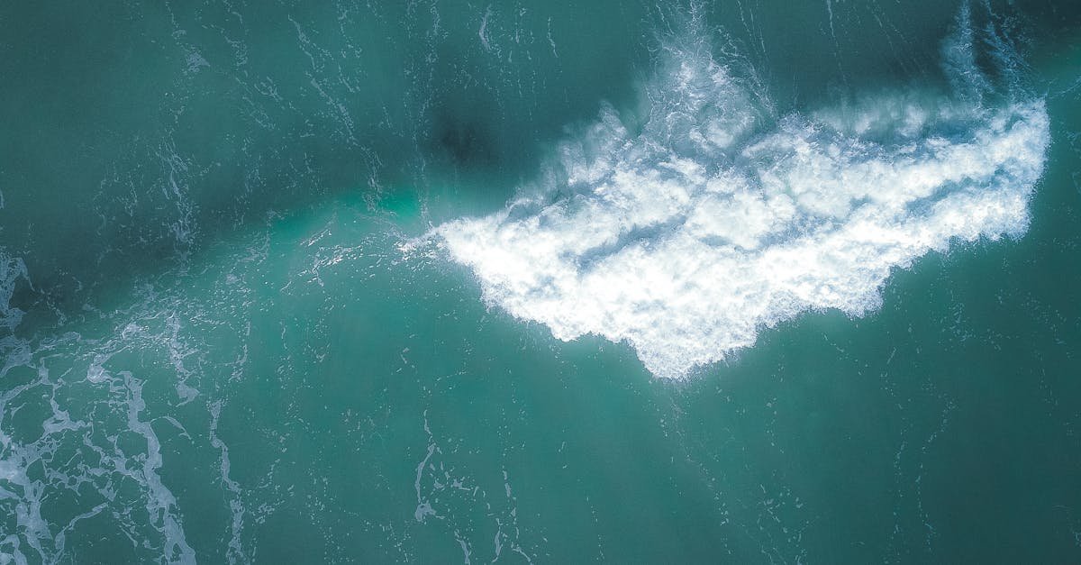 seafoam green est une teinte apaisante qui évoque la fraîcheur de l'océan et la sérénité naturelle. parfaite pour la décoration intérieure, la mode et le design, cette couleur offre une ambiance douce et relaxante.