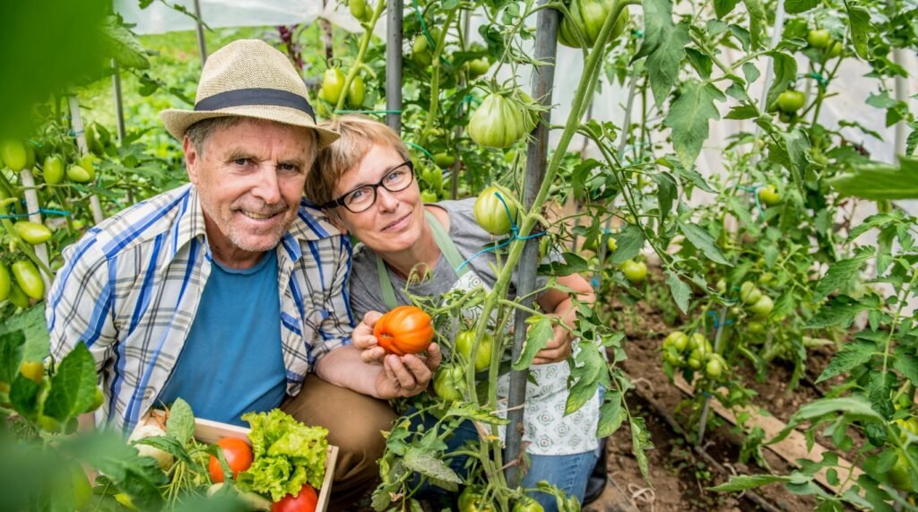 Calendrier lunaire du jardin